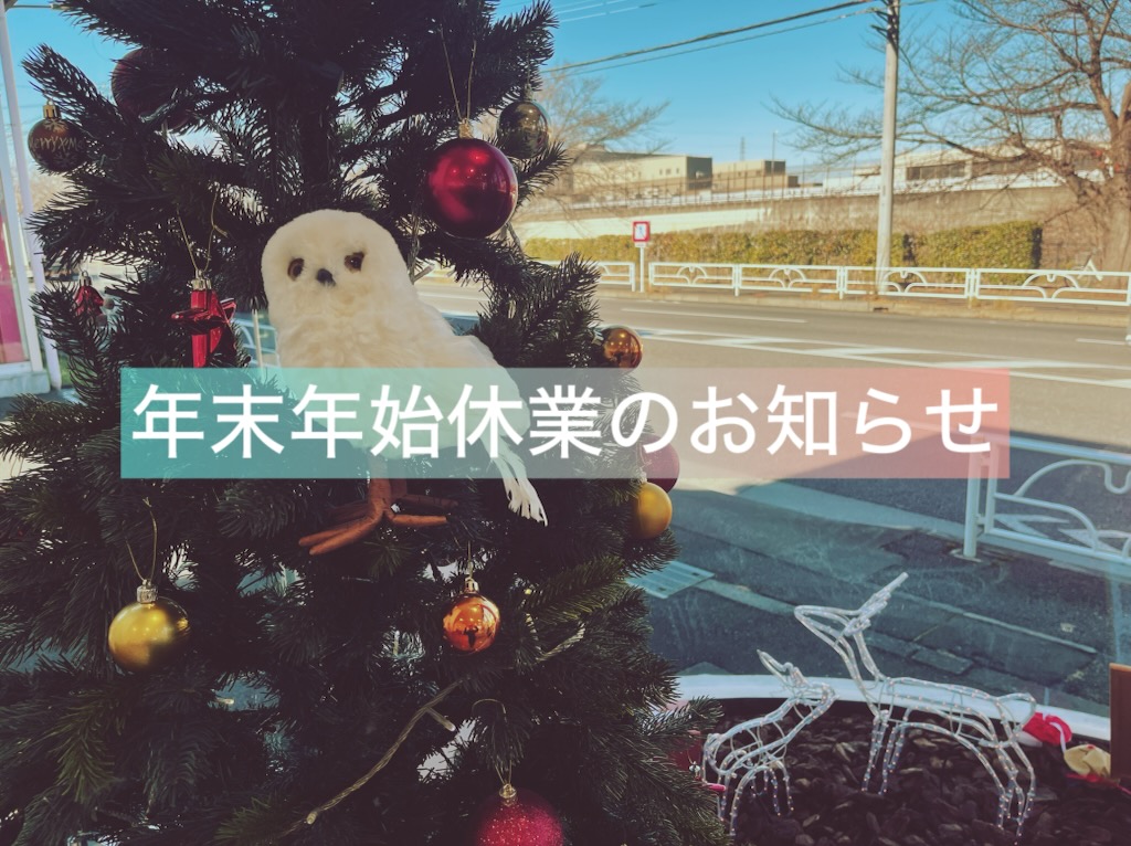 🌼年末年始の休日のお知らせ🌼